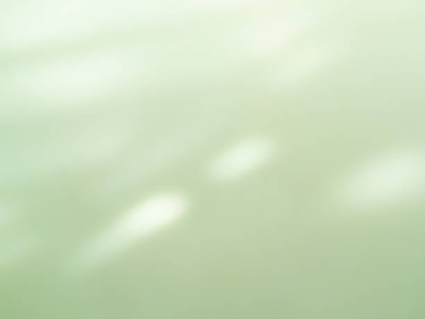Green background wall shadow light summer sunight overlay nature on room cement floor abstract blur muckup effect minimal platform for presentation product backdrop, nature wallpaper template display