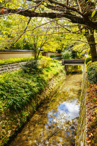 istock Philosopher's Walk in Kyoto Japan 2184490696