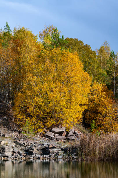 Autumn leaves reflecting on water in old quarry Kumla Sweden October 14 2024