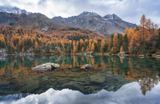 Famous mountain lake 'Lagh da Saoseo' during a tranquil, autumn morning.