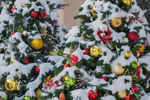istock beautiful balls hang on snowy Christmas trees 2184493369