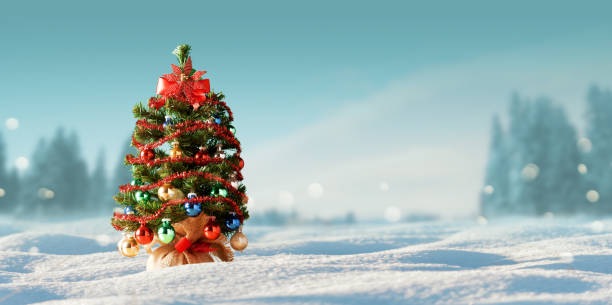 istock Cute small Christmas tree on the snow 2184501258