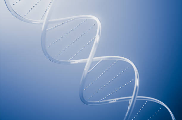 A detailed depiction of a DNA double helix on a gradient blue background, symbolizing genetics, science, and biology. Ideal for illustrating concepts related to molecular biology and genetic research.