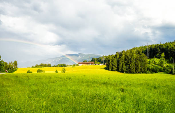 A rainbow after the rain and cloudy dark sky background