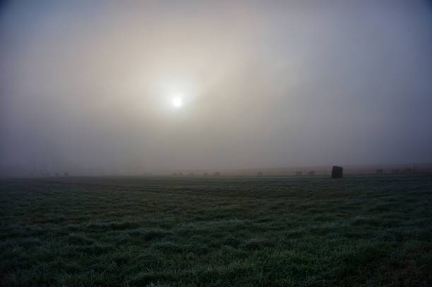 istock Foggy grassy field with sunlight 2184505400