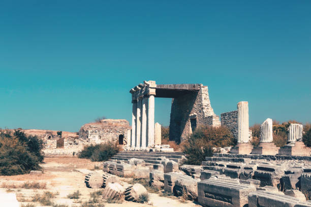 The Ionic Stoa on the Sacred Way in Miletus with standing columns and scattered stone blocks under a clear sky. Tinted. Aydin, Turkey (Turkiye)