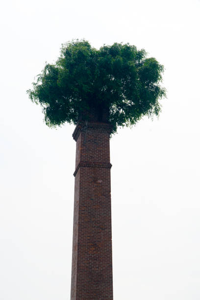 istock Unique urban landscape showcasing a tall brick chimney transformed by a lush tree growing from its top, symbolizing nature reclaiming industrial spaces in a serene setting. 2184514272