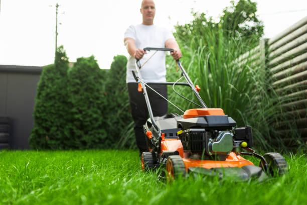 istock Gardener mowing grass with lawn mower in backyard garden 2184515640