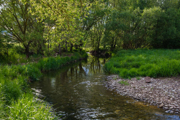 istock Stormy stream on the mountain river on a sunny day. Close up shot. 2184516043