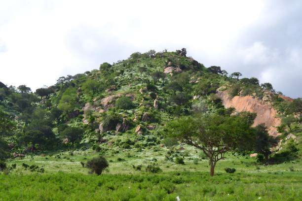 istock Lush green hill with scattered trees and rocks under a partly cloudy sky. 2184517034
