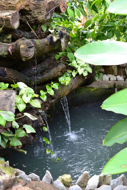 istock Serene garden scene with a small waterfall flowing into a pond surrounded by lush greenery. 2184517045