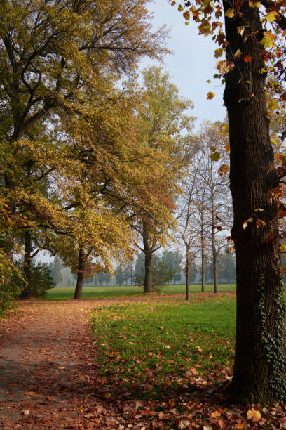 istock The Monza park at November 2184517983