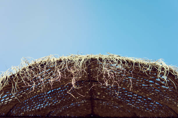 istock Straw roof structure under a clear blue sky showcasing sunlight and natural materials 2184521898