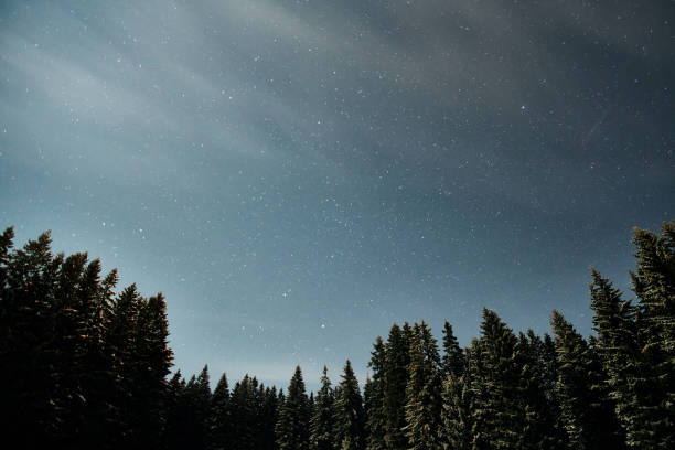 istock Night sky filled with stars above a quiet forest under moonlight glow 2184523885