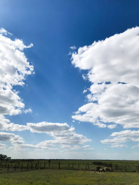 istock Scenic countryside with blue sky and fluffy clouds above, Askania Nova, Ukraine. 2184525121
