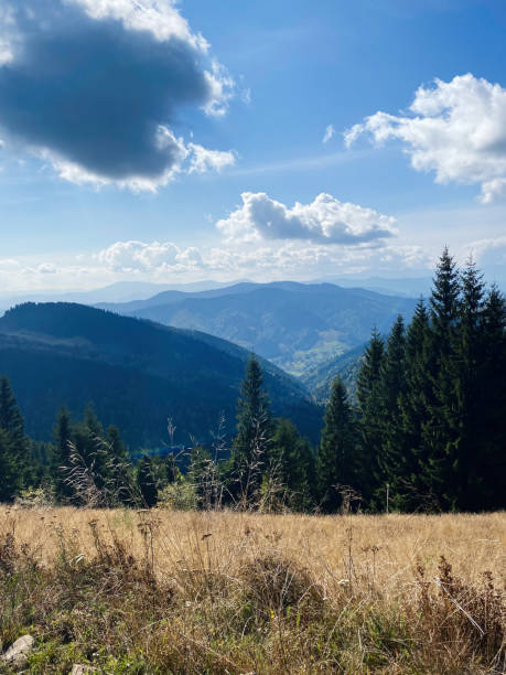 istock Serene mountain landscape with lush greenery and dramatic clouds 2184525400
