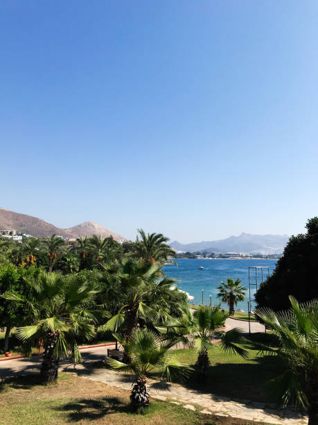 A vibrant tropical beach scene with lush palm trees, a clear blue sky, and distant mountains. The serene bay invites relaxation and a sense of tranquility by the sea.  Bodrum, Turkey.