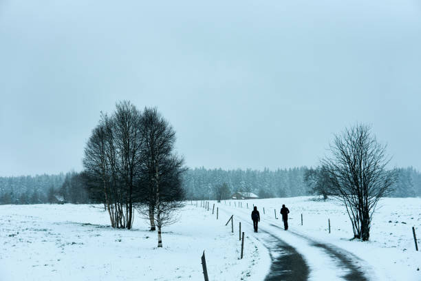 Two individuals stroll along a winding road surrounded by a serene snowy landscape, with trees dotting the scene under an overcast sky.