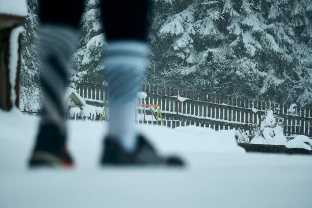 A person stands in a snowy area, partially obscured, with snow-covered trees and a wooden fence in the background. The scene captures the chill of winter.
