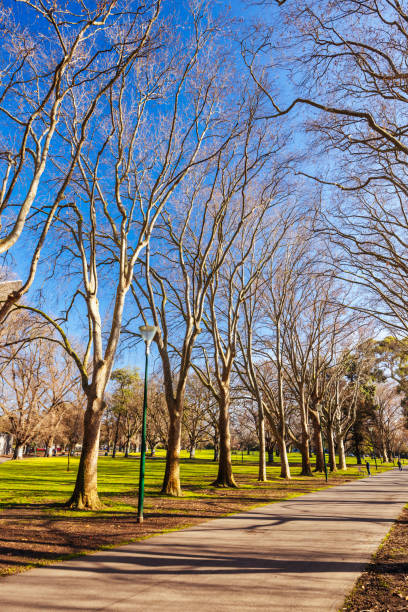 istock Carlton Gardens in Melbourne Australia 2184530719