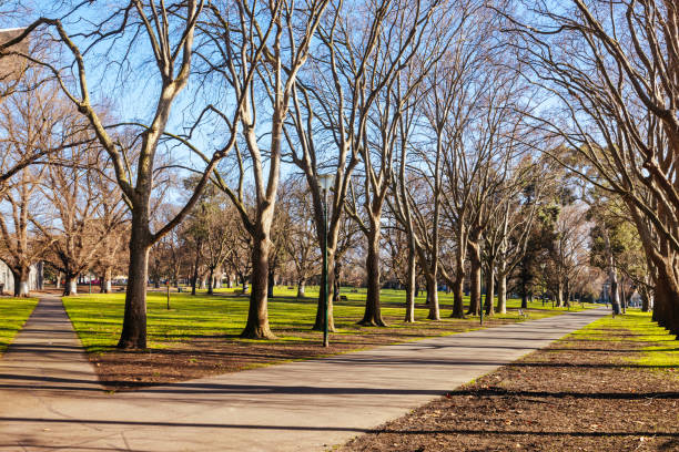 istock Carlton Gardens in Melbourne Australia 2184530736