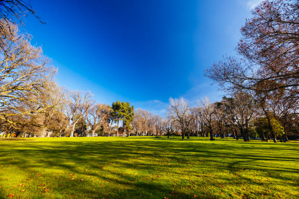 istock Carlton Gardens in Melbourne Australia 2184530741