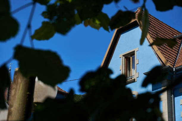 istock Blue house with detailed architecture framed by green leaves under a clear blue sky during daylight 2184533729