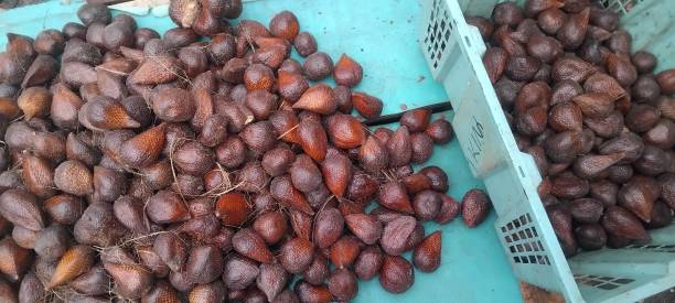 istock Snakefruit at traditional fruit market 2184554245