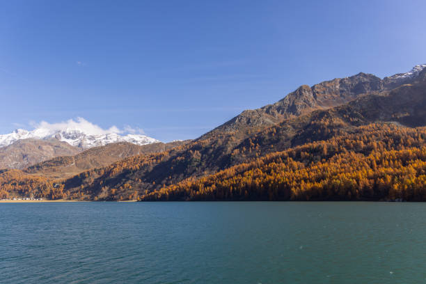 Calm lake bordered by vibrant autumn trees and towering mountains with snow-dusted peaks under a clear blue sky.