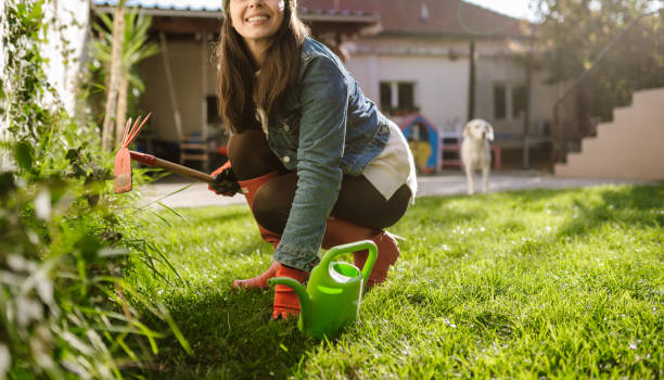 istock Gardening is my hobby 2184558034