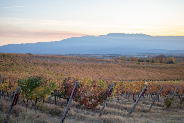 istock Melnik wine region landscape in Bulgaria 2184565738