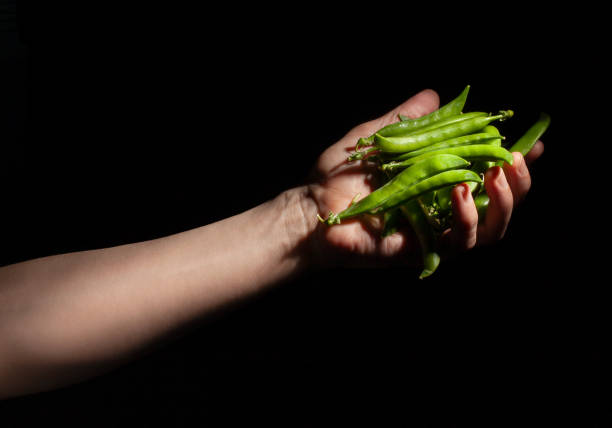green peas in hand on black background