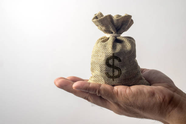 istock Burlap sack with big dollar symbol on white background 2184574709