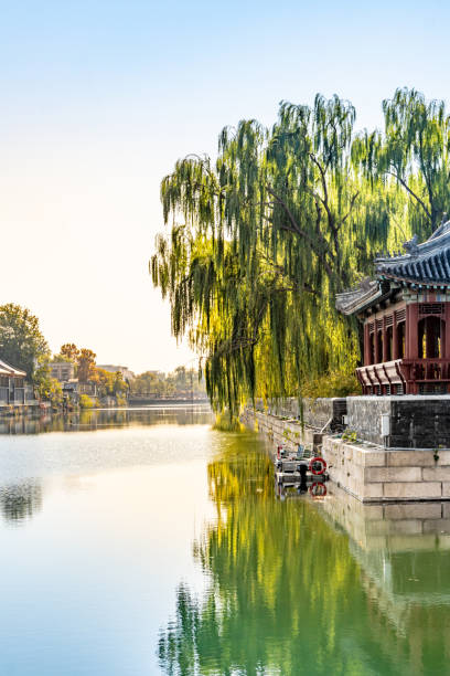 istock Willow over the moat around the Forbidden City in Beijing 2184580384
