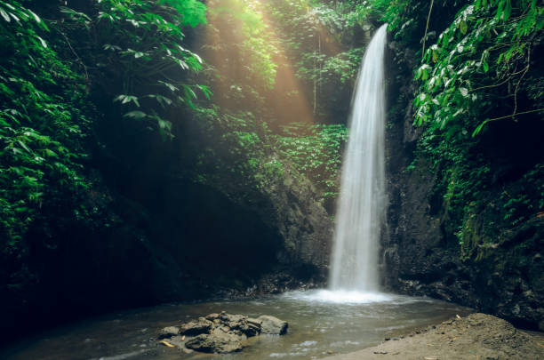 istock Beautiful waterfall in tropical rainforest in Bali, Indonesia 2184580996
