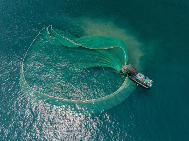 istock Netting fish on Dai Lanh sea 2184581320