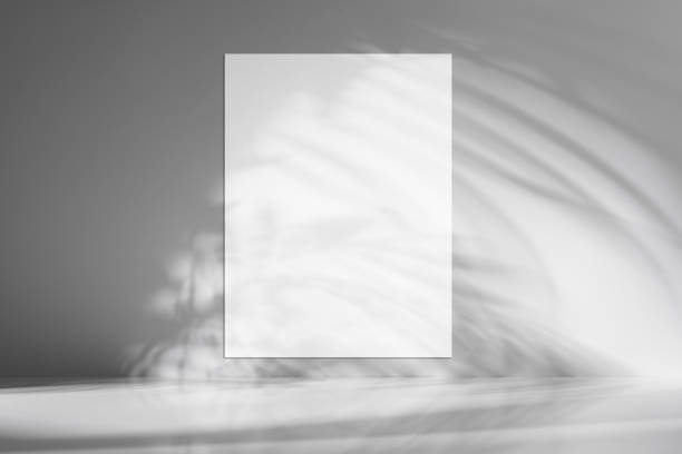 istock Minimalist white or grey background with a blank white poster with the shadows 2184584085