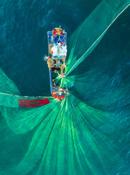 Netting fish on Nha Trang sea
