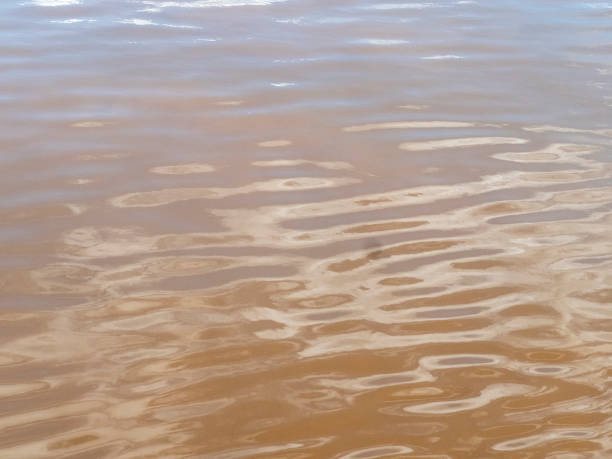 istock The water surface of the Amazon is very suitable as a background image. 2184587404