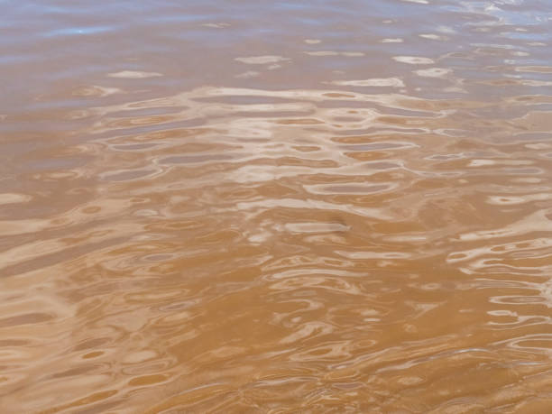 istock The water surface of the Amazon is very suitable as a background image. 2184587439