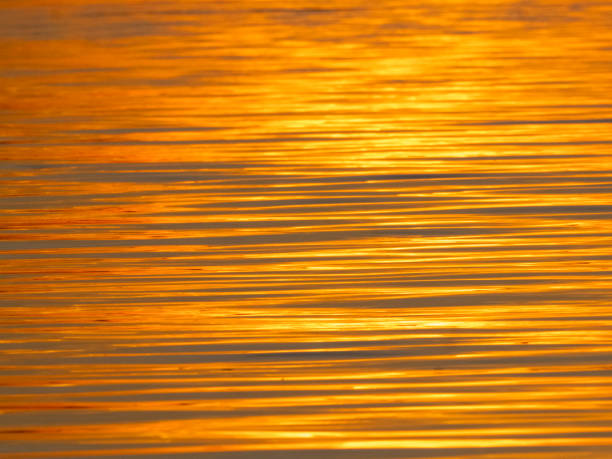 istock The water surface of the Amazon is very suitable as a background image. 2184587473