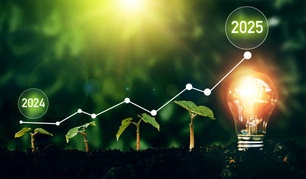 istock Seedlings are growing in soil with growth compared to year 2024-2025 and light bulb for innovations and ideas for the new year. Development to success in year 2025. 2184592599