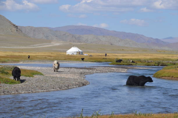 Altai Tavan Bogd National Park in Bayan Ulgii, Western Mongolia