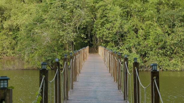 istock Wooden suspension bridge over calm river leading into dense green 2184596341