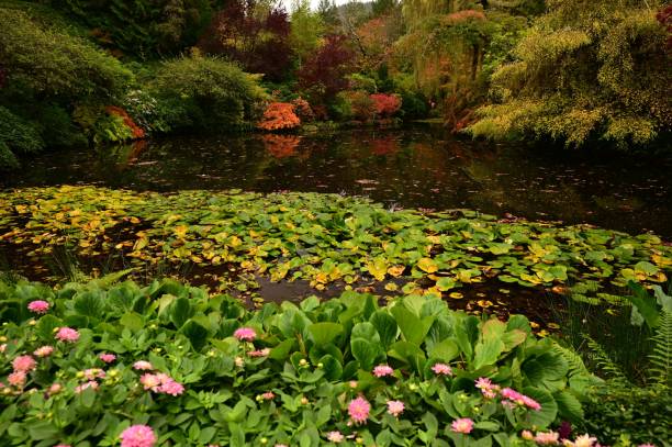 istock Serene garden pond surrounded by lush greenery and colorful flowers 2184602502