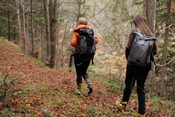 istock Two Women Enjoying a Scenic Hike Through Autumn Forest 2184603127