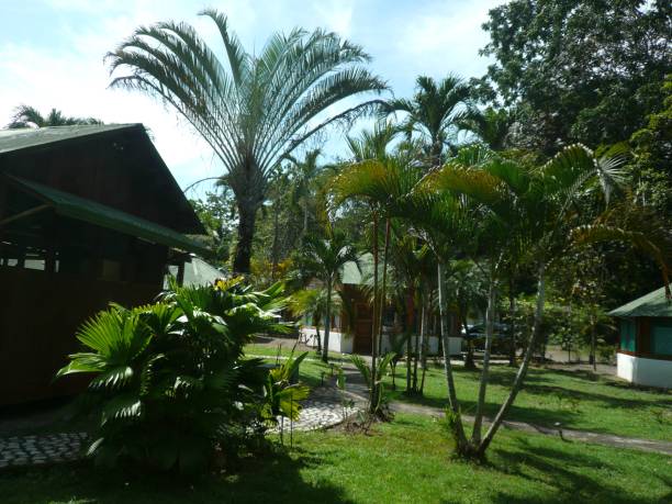 istock landscaping, gardening, green space. 2184603588
