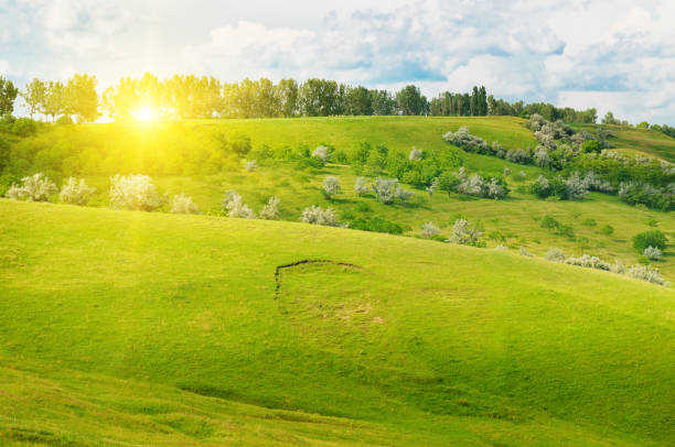 istock Hilly landscape, picturesque meadows and a bright sun. 2184605284