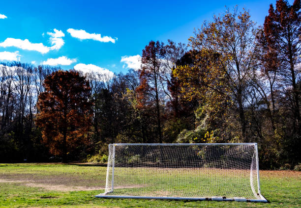 istock A soccer  goal on a pitch in a park 2184606317