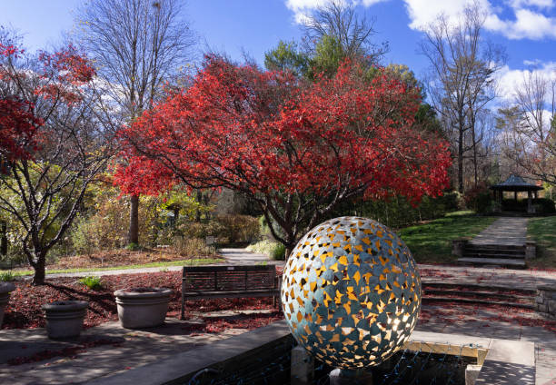 Outdoor sculpture in front of an Autumn tree